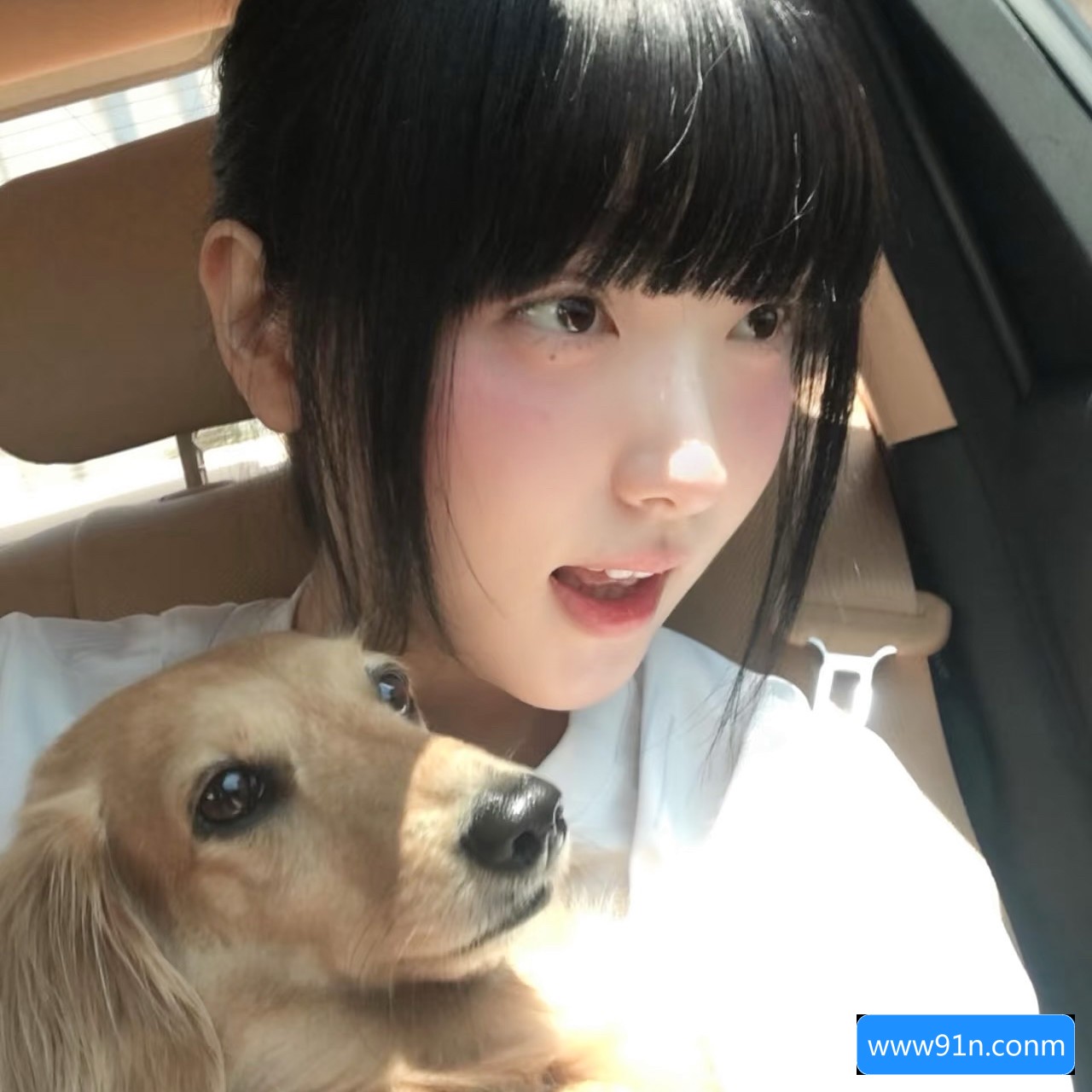 关于www91n.con黄网站的安全性和使用注意事项，你了解吗